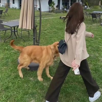 一次别离 在线观看